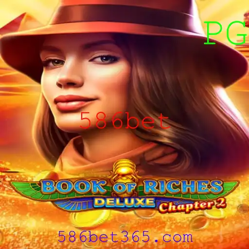 Guia Completo sobre o Jogo Book of Riches Deluxe Chapter 2